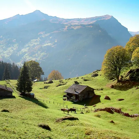 Holzwurm-1 By Interhome Γκρίντελβαλντ